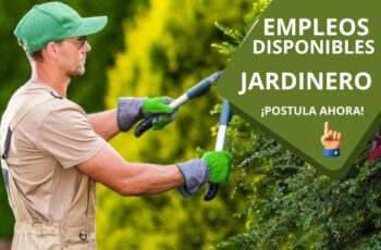 Empleos para Jardinero – ¡Postula Ahora!